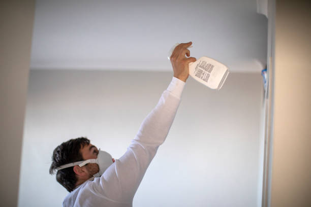 Best Commercial Mold Removal  in Apalachin, NY